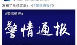 爆料网红领巾最新版介绍视频,揭秘视频中的亮点与功能